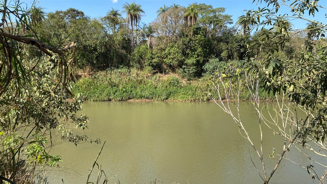Chácara > venda > Rio Paraopeba - Florestal MG