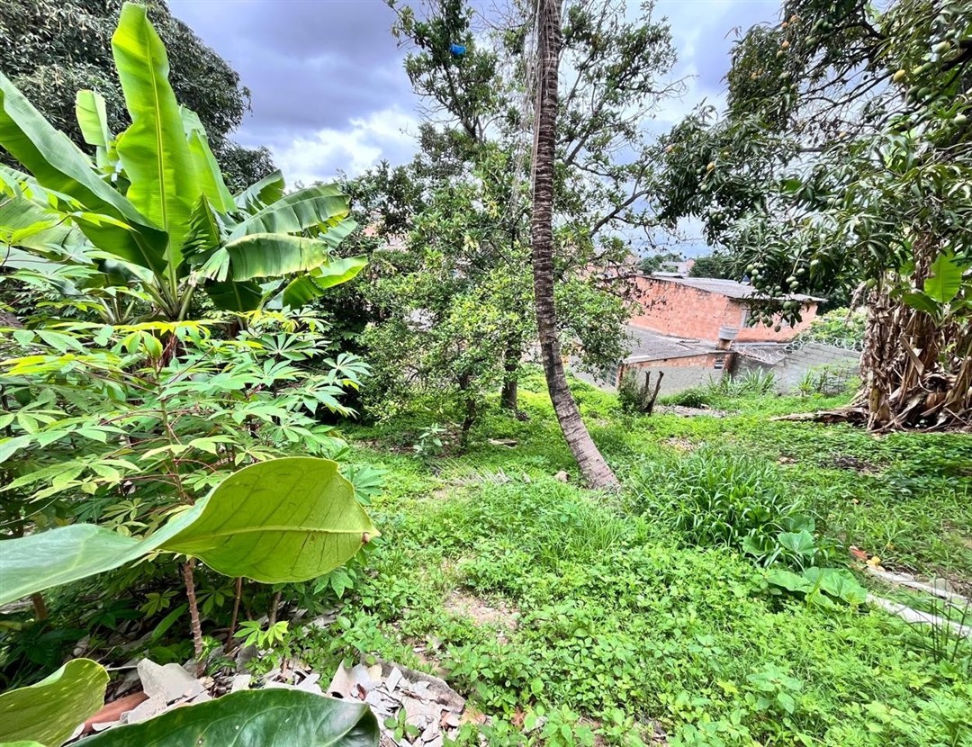 Terreno > venda > Jardim Alterosa 2º Seção - Betim