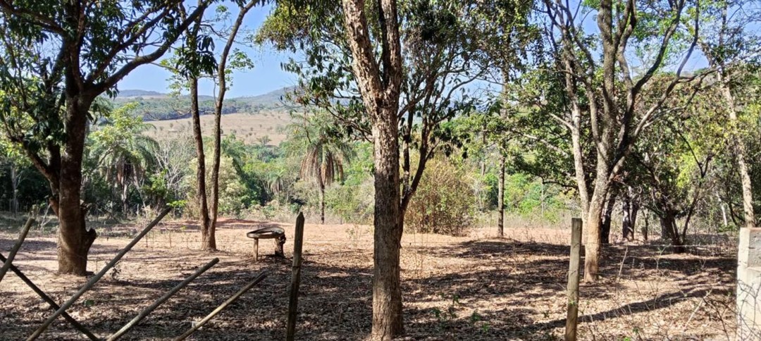 chacara-venda-satelite-juatuba-1142277