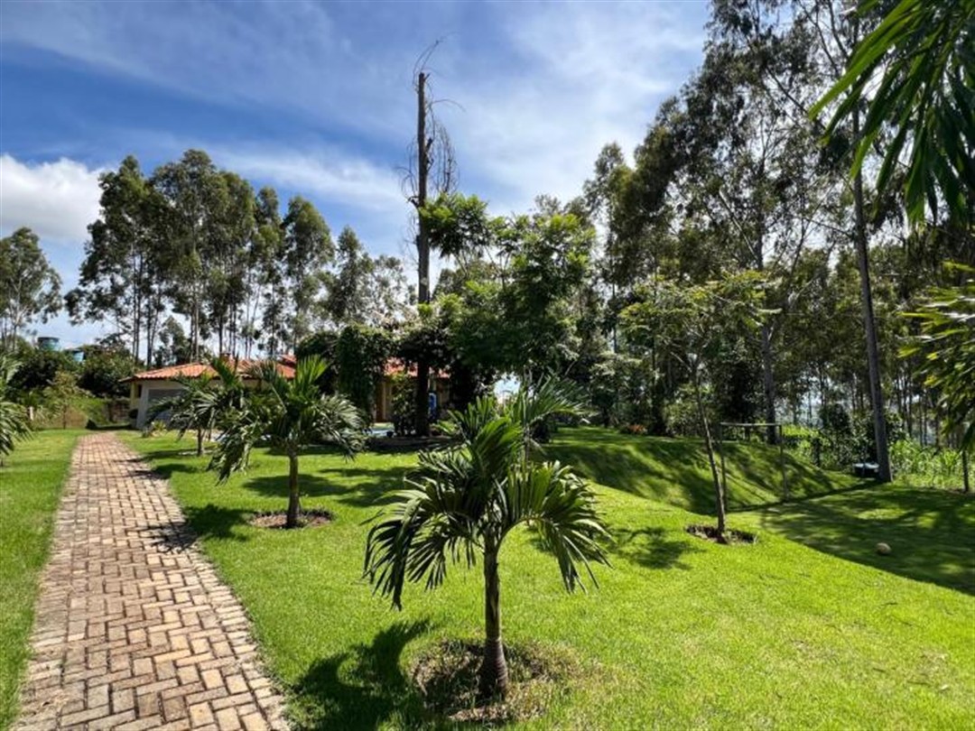 chacara-venda-serra-azul-mateus-leme-1141385