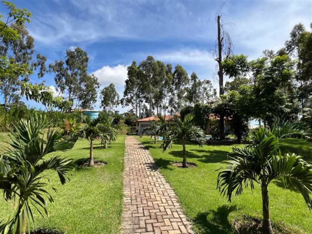 chacara-venda-serra-azul-mateus-leme-1141380