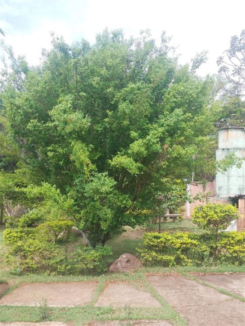 sitio-venda-vivenda-santa-monica-igarape-1141098