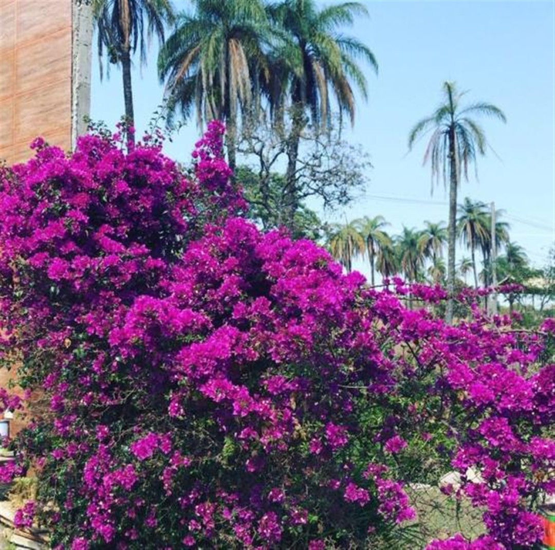 sitio-venda-jardim-recreio-alvorada-serra-negra-betim-1141077