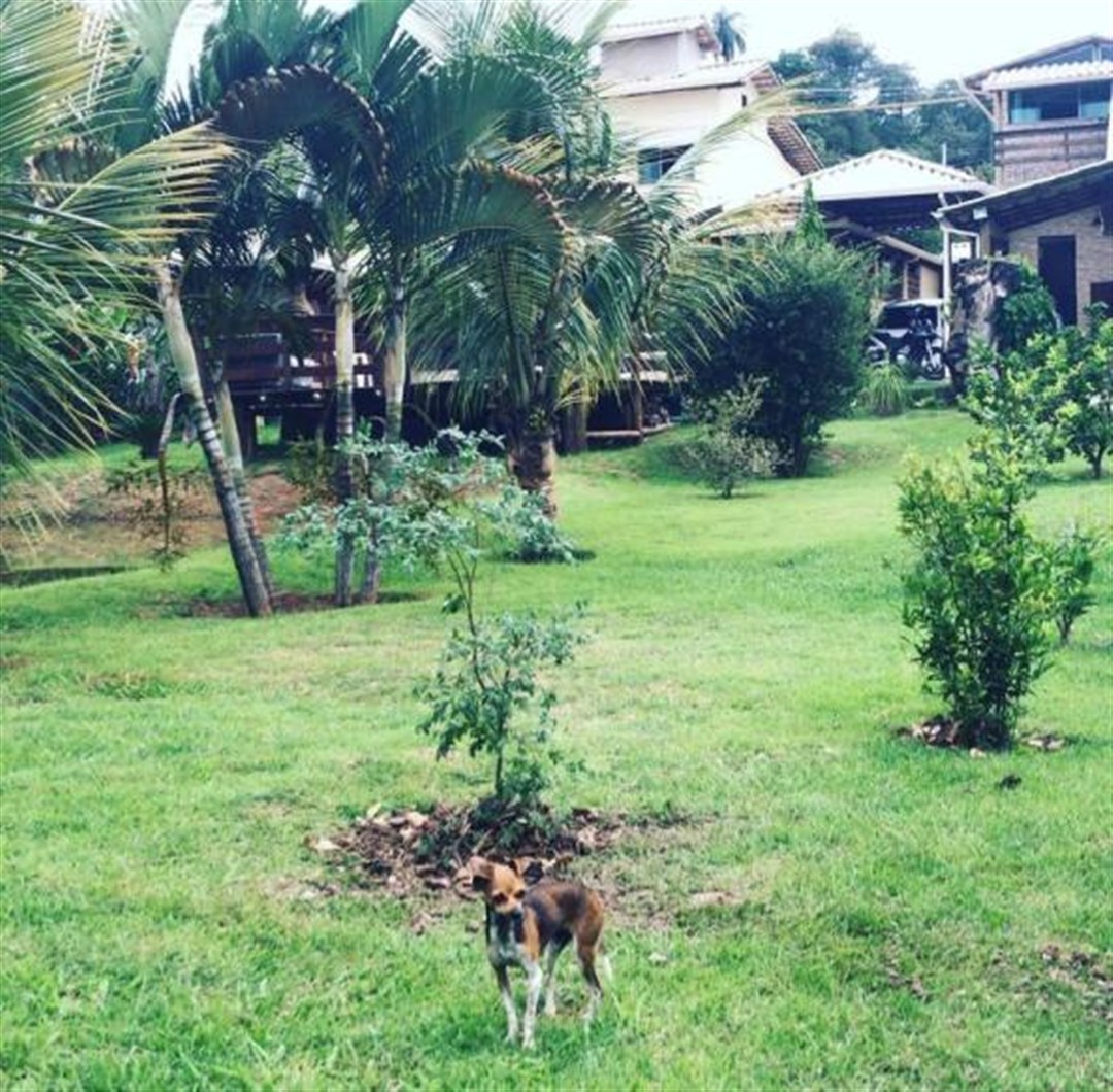 sitio-venda-jardim-recreio-alvorada-serra-negra-betim-1141071