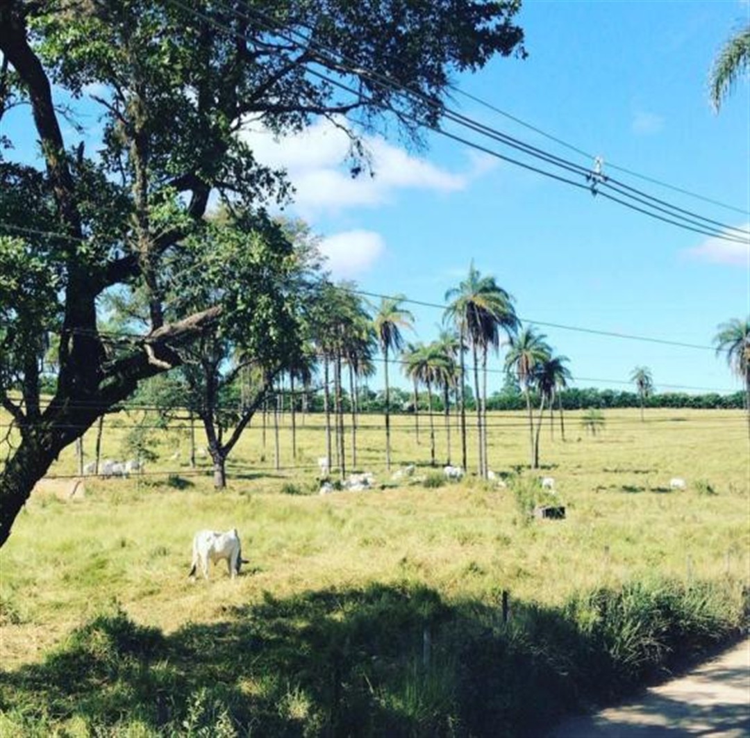 sitio-venda-jardim-recreio-alvorada-serra-negra-betim-1141086