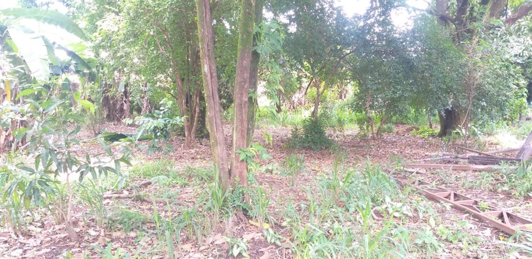 terreno-venda-dois-lotes-planos-jardim-alterosa-1o-secao-betim-1140398