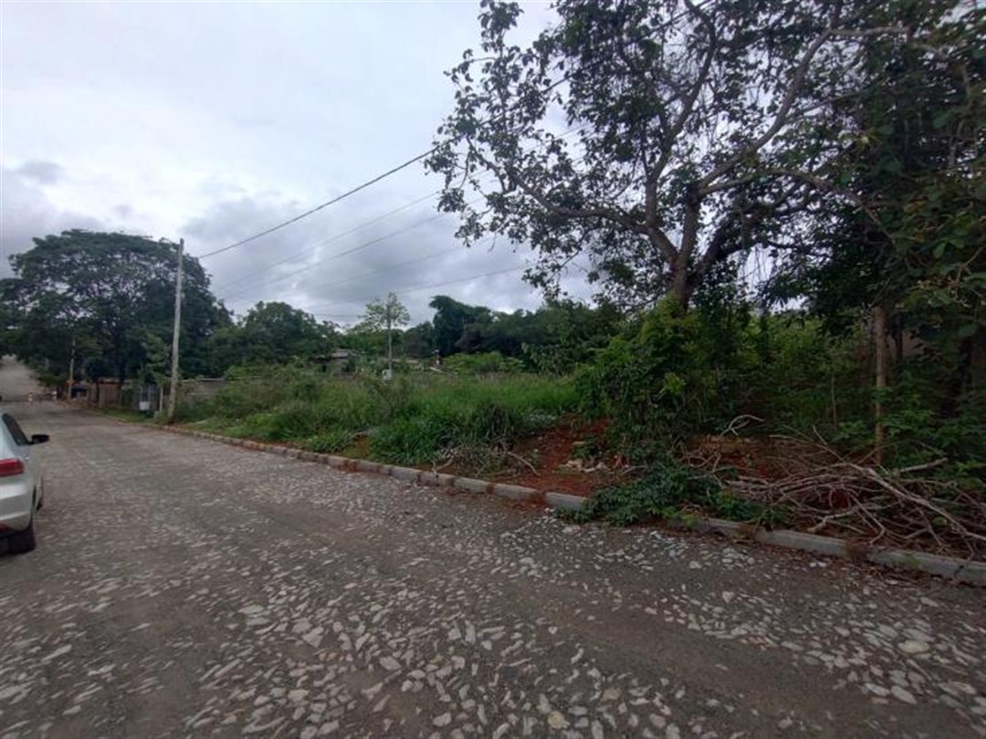 terreno-venda-novo-igarape-igarape-1140391