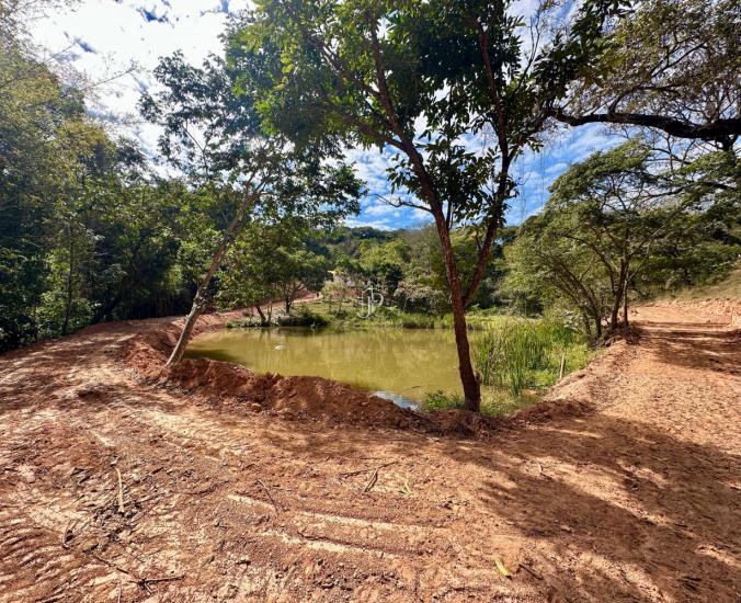 fazenda-venda-sao-joaquim-de-bicas-mg-1150702