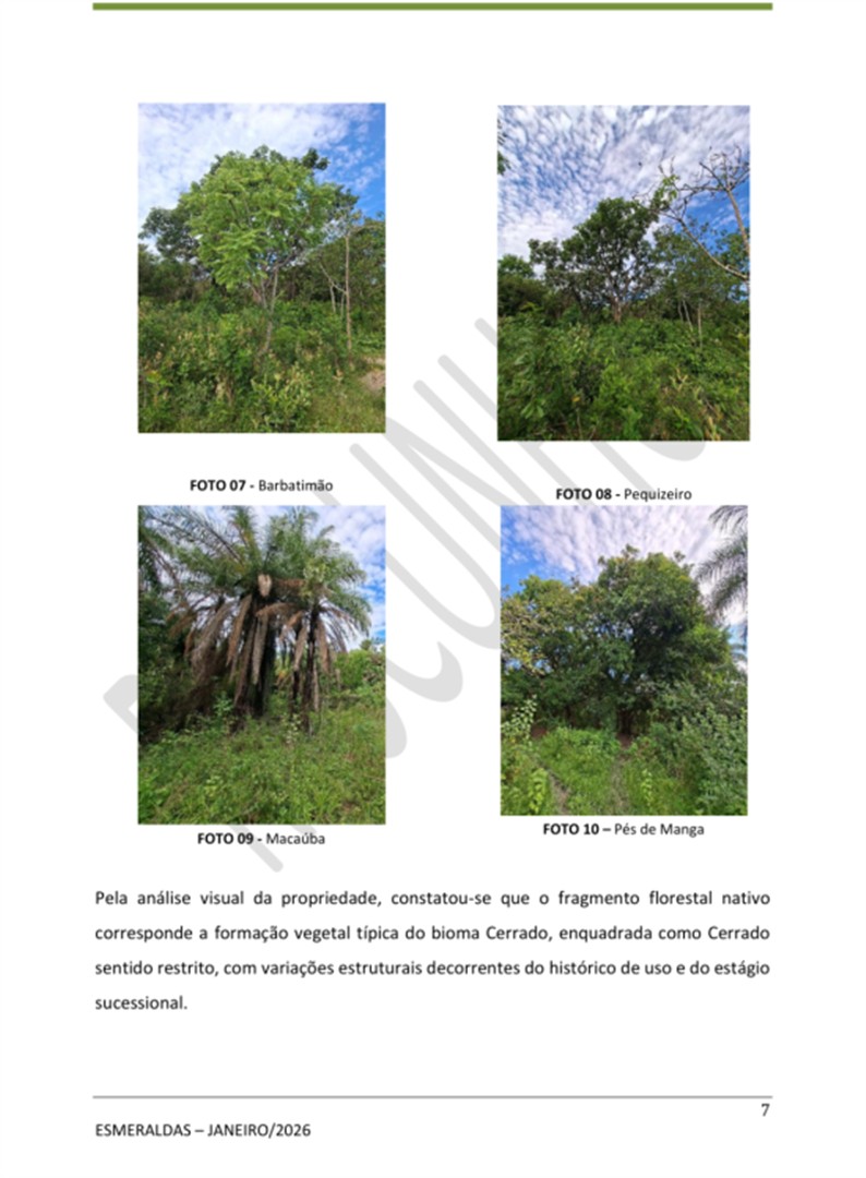 area-venda-para-empreendimentos-esmeraldas-1143796