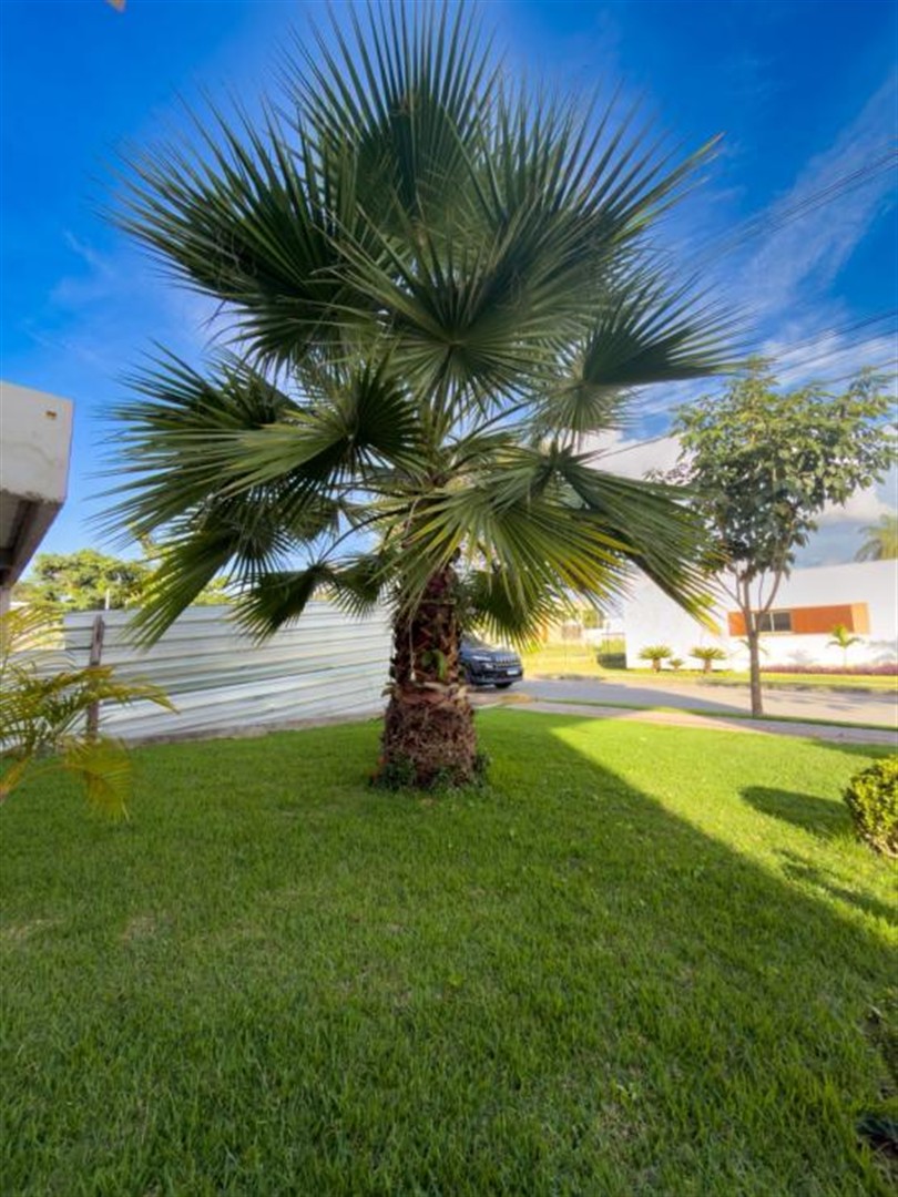 casa-em-condominio-venda-gran-royalle-betim-1143549